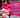 Shareing & Careing's Inaugural Banquet New York's Leading Breast Cancer Community